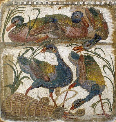Waterfowl (Mosaic) by Roman